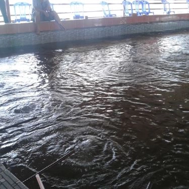 Tổng hợp- Quán Ăn Hồ Câu Tôm Thanh Đa
