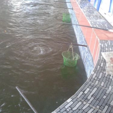 Tổng hợp- Quán Ăn Hồ Câu Tôm Thanh Đa