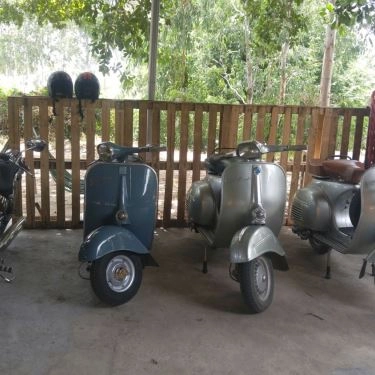 Tổng hợp- Quán Ăn Hồ Đại Hàn - Gà Chỉ & Thỏ Chỉ