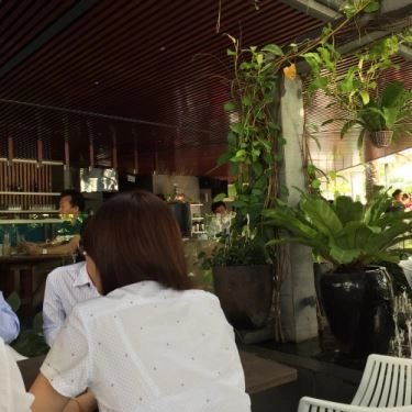 Tổng hợp- Quán Ăn Hoa Cau - Cafe & Restaurant