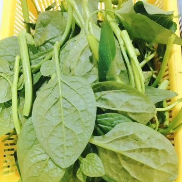 Tổng hợp- Quán Ăn Hoa Phượng Quán - Bánh Đa Cua & Bún