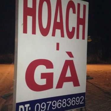 Tổng hợp- Hoạch Gà - Gà Tươi Đủ Món