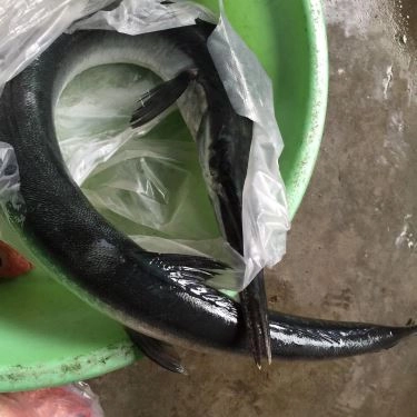 Món ăn- Quán Ăn Hoàn Vũ - Hải Sản Tươi Sống