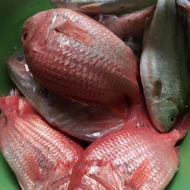 Món ăn- Quán Ăn Hoàn Vũ - Hải Sản Tươi Sống