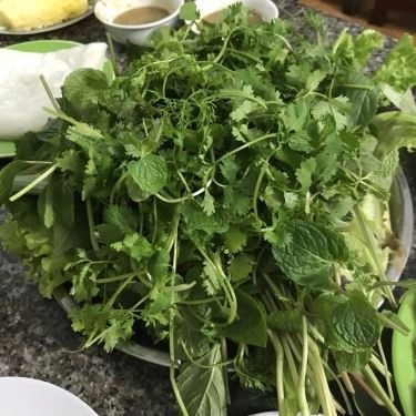 Tổng hợp- Quán Ăn Hoàng Bèo - Đặc Sản Đà Nẵng - Nguyễn Ngọc Vũ