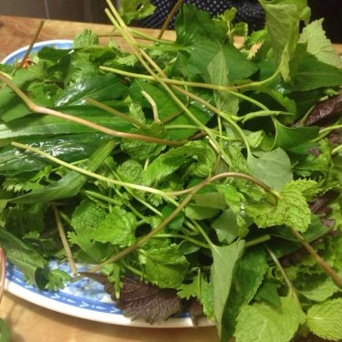 Tổng hợp- Quán Ăn Hoàng Bèo - Đặc Sản Đà Nẵng - Phạm Ngọc Thạch
