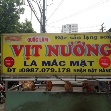 Tổng hợp- Quán Ăn Hoàng Long - Vịt Nướng Lá Mắc Mật - Cư Xá Vĩnh Hội
