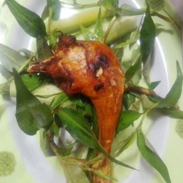 Món ăn- Quán Ăn Hoàng Mập - Đặc Sản Thịt Thỏ