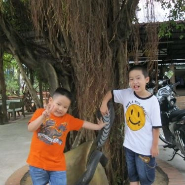 Tổng hợp- Quán Ăn Hoàng Ty 1 - Đặc Sản Trảng Bàng