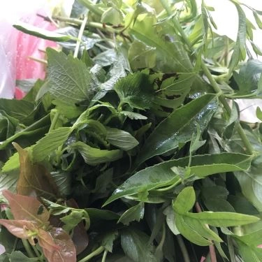 Tổng hợp- Quán Ăn Hoàng Ty - Đặc Sản Trảng Bàng - Tạ Quang Bửu