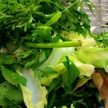 Tổng hợp- Quán Ăn Hoàng Ty - Đặc sản Trảng Bàng - Võ Văn Tần