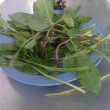 Tổng hợp- Quán Ăn Hoàng Vũ - Phở, Bún, Hủ tiếu