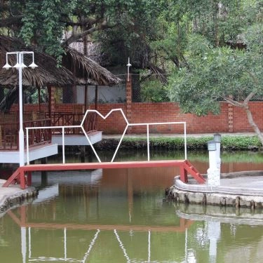 Tổng hợp- Quán Ăn Hội Quán Cây Bạch Dương