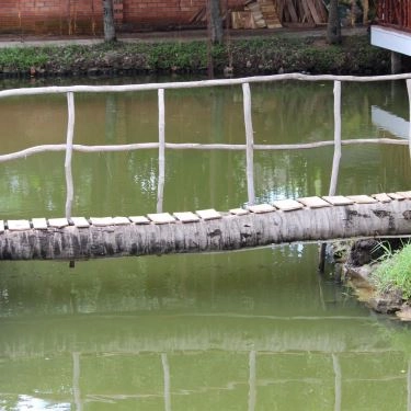 Tổng hợp- Quán Ăn Hội Quán Cây Bạch Dương
