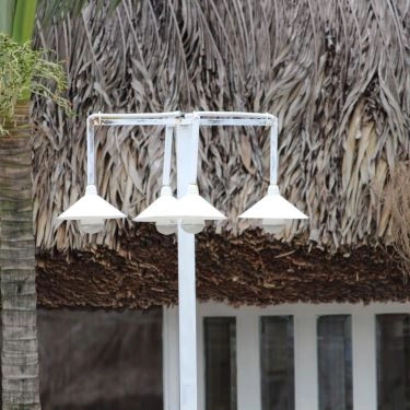 Tổng hợp- Quán Ăn Hội Quán Cây Bạch Dương