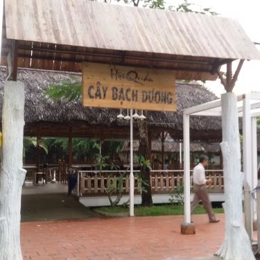 Tổng hợp- Quán Ăn Hội Quán Cây Bạch Dương
