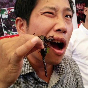 Tổng hợp- Quán Ăn Hội Quán Sala - Vua Côn Trùng