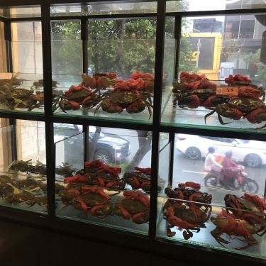 Tổng hợp- Holy Crab - Nhà Hàng Hải Sản Singapore