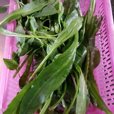 Tổng hợp- Quán Ăn Hớn Hưng - Hủ Tiếu Bò Viên