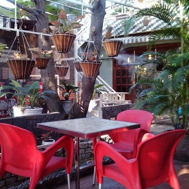 Không gian- Quán Ăn Hồng Phát Cafe - Không Gian Sân Vườn