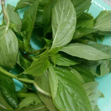 Tổng hợp- Quán Ăn Hủ Tiếu A Hòa - Phan Văn Trị