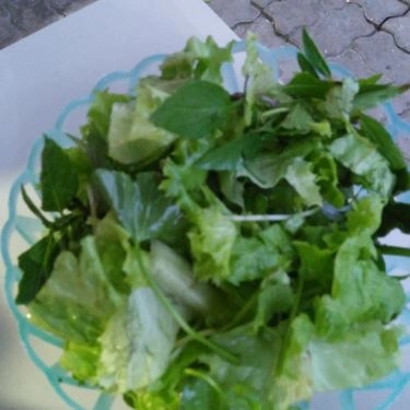 Tổng hợp- Quán Ăn Hủ Tiếu Bà Thu