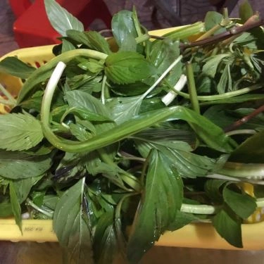 Tổng hợp- Quán Ăn Hủ Tiếu Bò Viên - Lê Quang Định