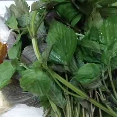 Món ăn- Quán Ăn Hủ Tiếu Dê - Nguyễn Biểu
