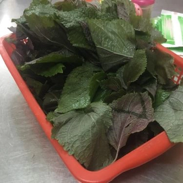 Tổng hợp- Quán Ăn Hủ Tiếu Dê Tiến Nhân - Nguyễn Chí Thanh