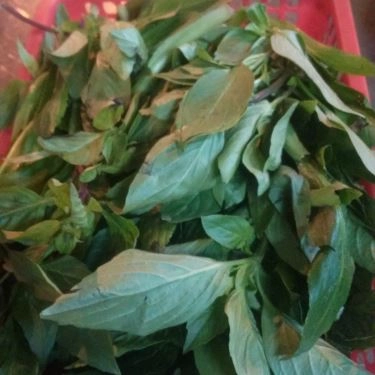 Món ăn- Quán Ăn Hủ Tiếu Đức Ký - Nguyễn Văn Trỗi