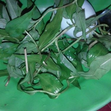 Món ăn- Quán Ăn Hủ Tiếu & Hột Vịt Lộn