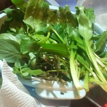 Tổng hợp- Quán Ăn Hủ Tiếu Sa Đéc - 156 Huỳnh Tấn Phát