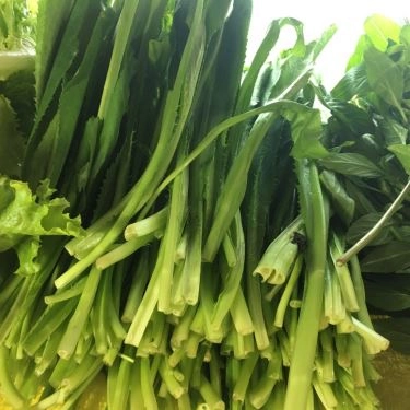 Tổng hợp- Quán Ăn Cường - Hủ Tiếu Bò Viên, Bún Bò & Bò Kho