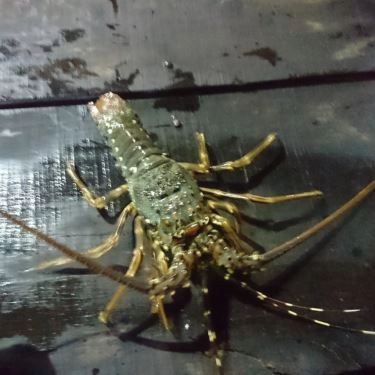 Tổng hợp- Quán Ăn Hùng Hiệp - Hải Sản Tươi Sống