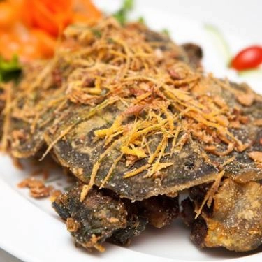 Tổng hợp- Quán Ăn Hương Đông Trần - Lẩu Nướng & Hải Sản Tươi Sống