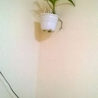 Tổng hợp- Quán Ăn Hương Quán - Món Ngon Hà Nội