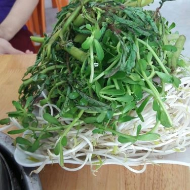 Tổng hợp- Quán Ăn Hương Quê - Bún Mắm & Lẩu Mắm