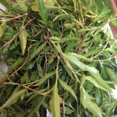 Tổng hợp- Quán Ăn Hương Vị Xứ Thanh - Trần Quốc Vượng