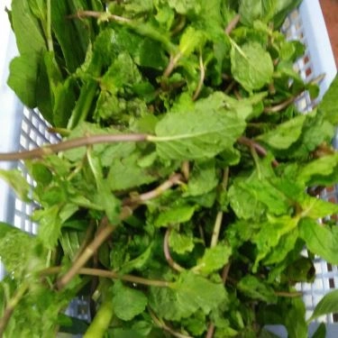 Tổng hợp- Quán Ăn Huyền Vịt Quán - Vịt Cỏ Vân Đình - Bạch Đằng