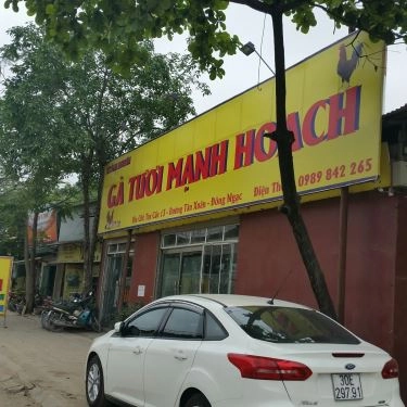Tổng hợp- Quán Ăn Khánh Nguyên - Gà Tươi Mạnh Hoạch