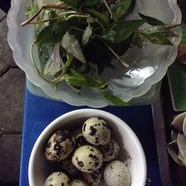Món ăn- Quán Ăn Khoa Tò Quán