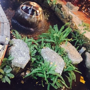 Tổng hợp- Nhà Hàng Không Gian Vip - Buffet Nướng Sân Vườn
