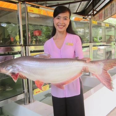 Tổng hợp- Nhà Hàng Hoa Sứ - Ẩm Thực Ven Sông & Tiệc Cưới