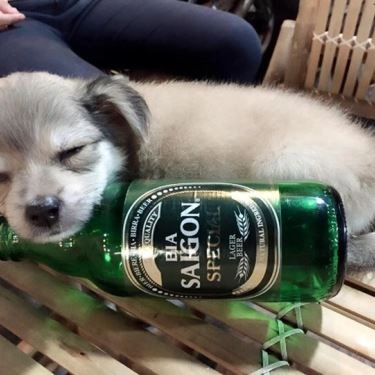 Tổng hợp- Quán Ăn Kiên Kiên BBQ & Beer - Cách Mạng Tháng 8