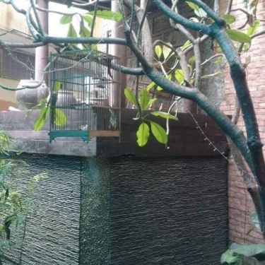 Tổng hợp- Quán Ăn Kiến Tửu Quán - Các Món Nhậu
