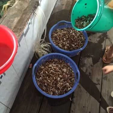 Tổng hợp- Quán Ăn Nhà Hàng Kim Cương - Hải Sản Làng Chài