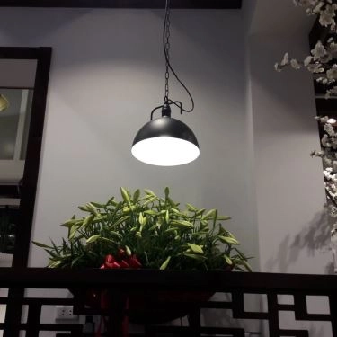 Tổng hợp- Quán Ăn Kimsushi - Ẩm Thực Nhật