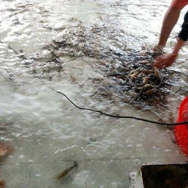 Tổng hợp- Quán Ăn Kỳ Anh Quán - Câu Tôm Thanh Đa