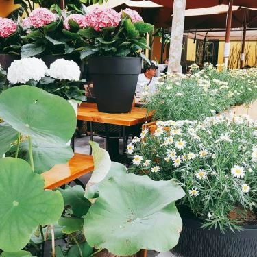Tổng hợp- Nhà Hàng La Maison Deli Cafe & Restaurant