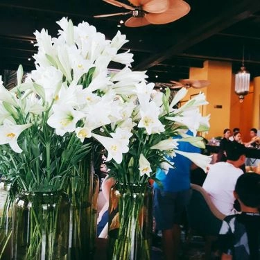 Tổng hợp- Nhà Hàng La Maison Deli Cafe & Restaurant